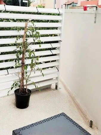 Lido Apartments, Nuovi E Moderni, Vicino